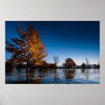 Golden autumn tree in water of flood photo print.