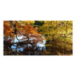 Golden Autumn Trees Photo Cards