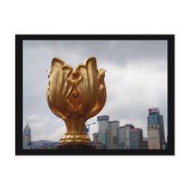 Golden Bauhinia Square Postcards