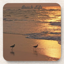 Golden Beach Coasters