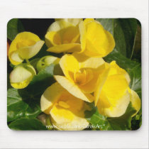 "Golden Begonias Blooms" Mousepad