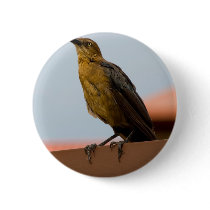 Golden Bird button