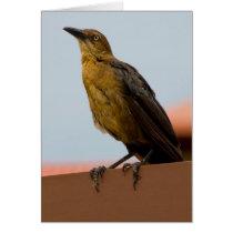 Golden Bird card