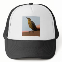 Golden Bird hat