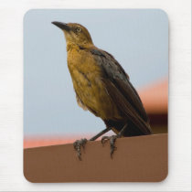 Golden Bird mousepad