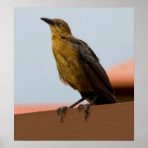 Golden Bird poster