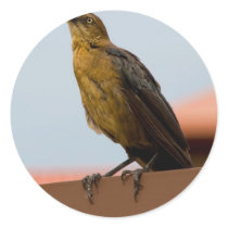 Golden Bird sticker