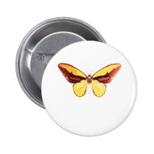 Golden Birdwing Butterfly Button