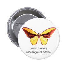Golden Birdwing Butterfly with Name Pin