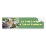 Golden Buddies Bumper Sticker