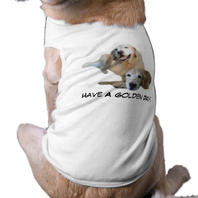 Golden Buddies Pet Clothing by normagolden