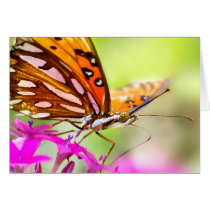 Golden Butterfly