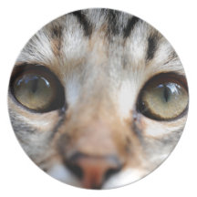 Golden Cat Eyes Party Plates