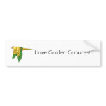 Golden Conure Products Bumper Sticker