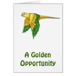 Golden Conure Products Cards