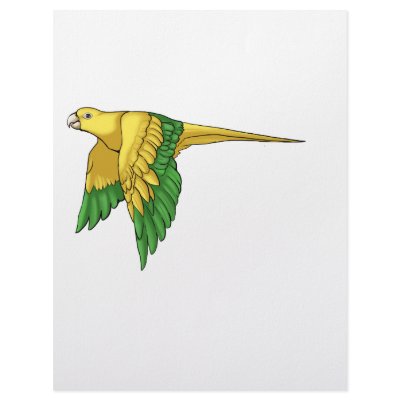 Golden Conure Products Custom Letterhead by Feathered_and_Free