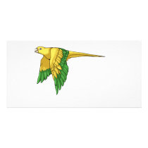 Golden Conure Products Photo Card