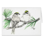 Golden Crowned Kinglet Card