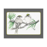 Golden Crowned Kinglet Postcard 2 in pencil