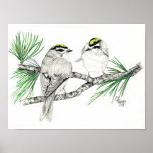 Golden Crowned Kinglet Print
