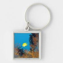 Golden Damselfish (Amblyglyphidodon aureus), Key Chains