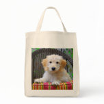 Golden Doodle Puppy Grocery Tote Bag