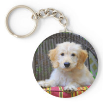 Golden Doodle Puppy Keychain