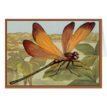 Golden Dragonfly Greeting Card