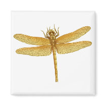Golden Dragonfly Magnet