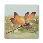 Golden Dragonfly Fridge Magnet