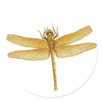Golden Dragonfly Sticker