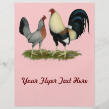 Golden Duckwing Chickens Full Colour Flyer