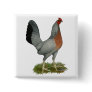 Golden Duckwing Hen Pinback Buttons