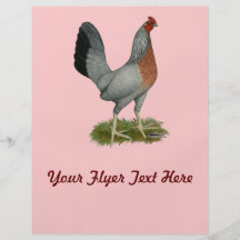 Golden Duckwing Hen Flyer Design