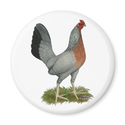 Golden Duckwing Hen Magnet by diane_jacky