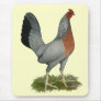 Golden Duckwing Hen Mousepad