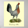 Golden Duckwing Hen Posters