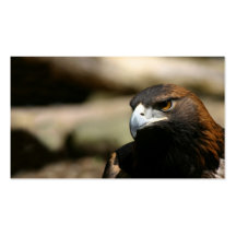 Golden Eagle business card