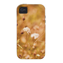 Golden field and wildflowers