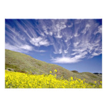 Golden Gate Nat'l Recreation Area - Marin Headland Personalized Invitations