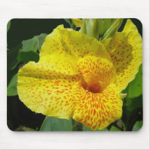 Golden Gift Of The Goddess Mousepad