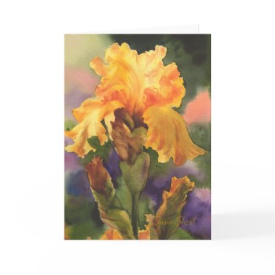 Golden Iris by susieshort