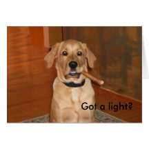 Golden Lab Got a Light Card