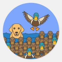Golden Lab in the Ducks Round Sticker