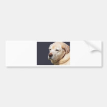 golden labrador bumper sticker