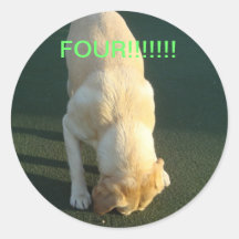 Golden Labrador Retriever Round Sticker