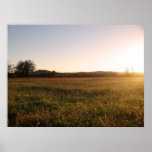 Golden Light Posters