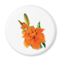 Golden Lily Fridge Magnets