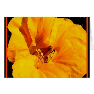 GOLDEN LION NASTURTIUM GREETING CARDS by TGKIMAGES