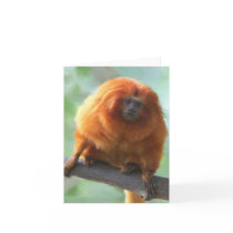 Golden-Lion Tamarin Note Cards